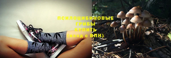 шишки Магадан