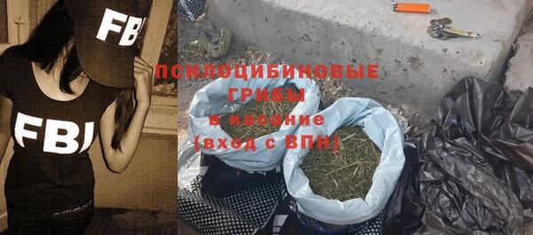 гидра Майский