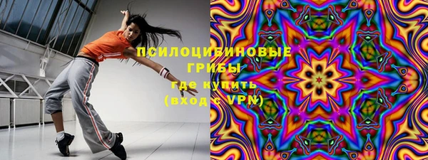 шишки Магадан