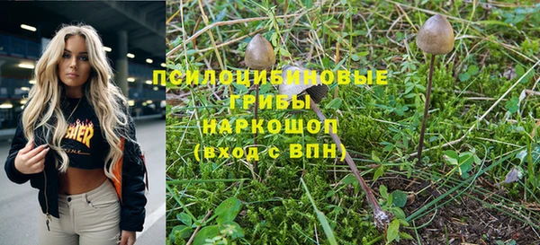 шишки Магадан