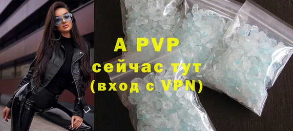 шишки Магадан