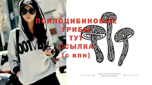 гидра Майский