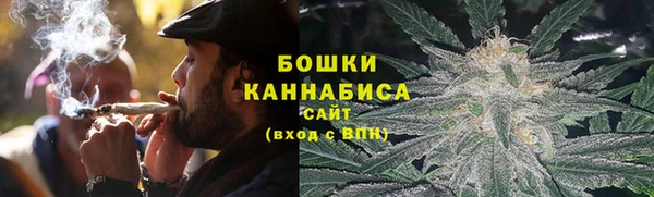 гидра Майский