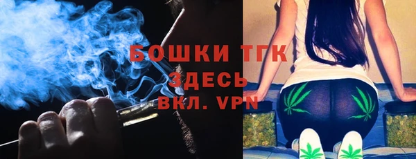 гидра Майский